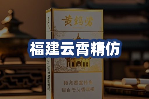 福建云霄精仿